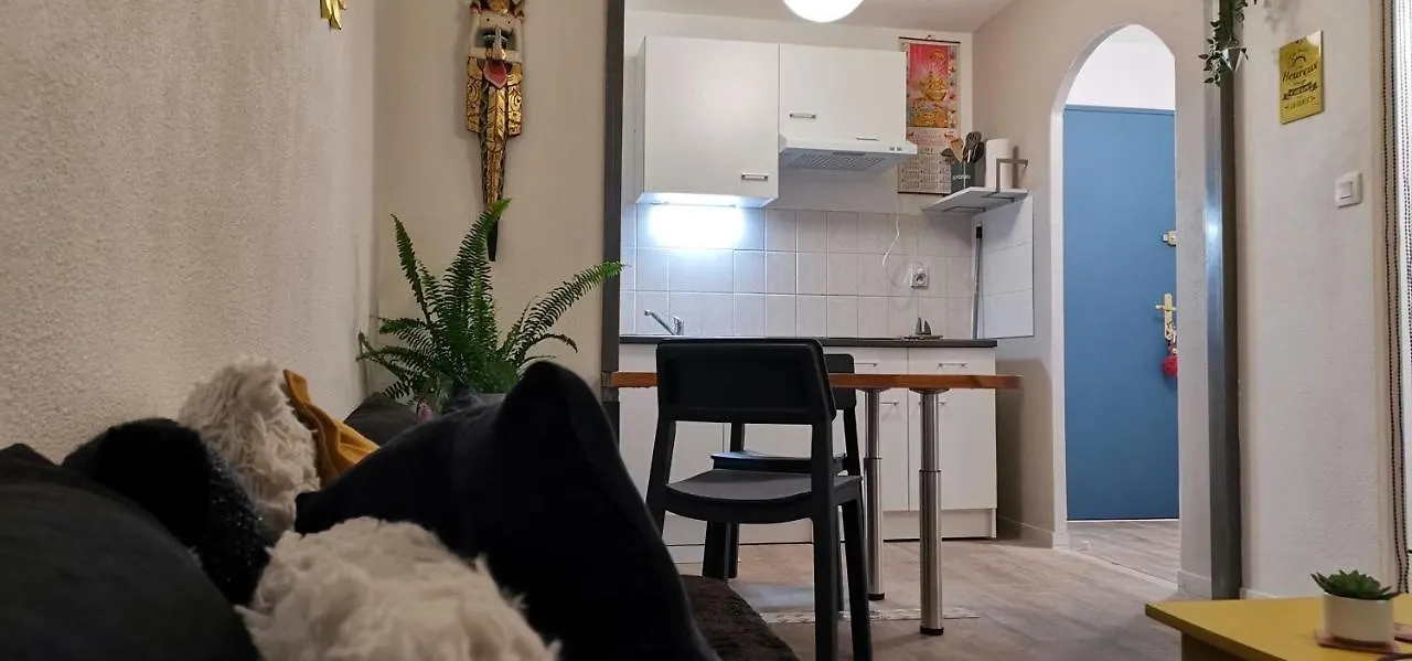Toulouse Appartement Chambre Separee Metro Apartamento